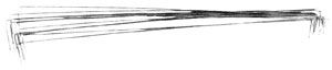 Neivert-Eve Tonsil Wire #8 - N6372 8